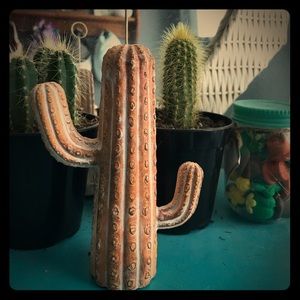 Cactus picture holder
